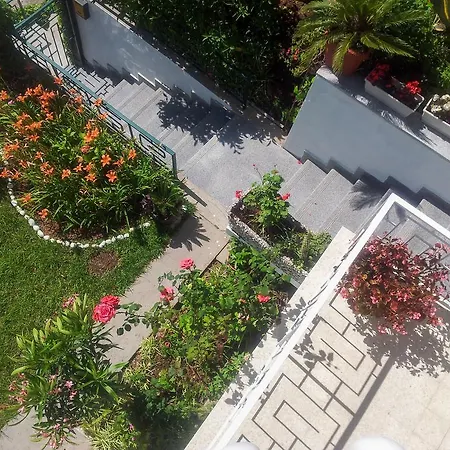 Panorama Apartment Budva